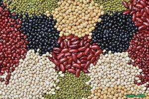 آیا مصرف حبوبات برای سالمندان مضر است؟
