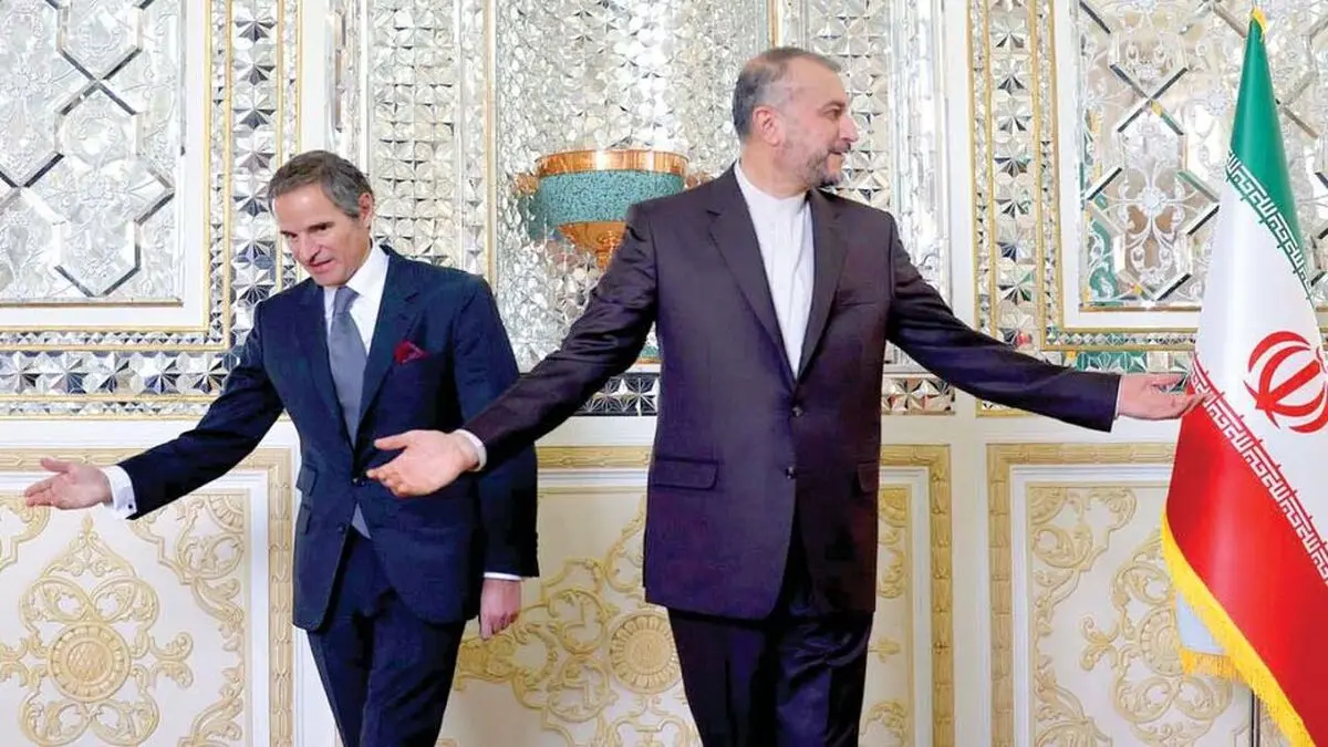 گروسی را ممنوع الخروج کنید تا قیمت دلار و سکه پایین بیاید!/ کاریکاتور