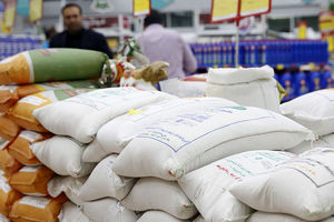 ارقام ارزان و گران برنج ایرانی چند شد؟ 