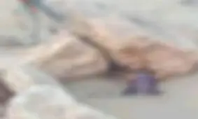 جسد سبحان پنج‌ساله بعد از ۲۷ روز پیدا شد