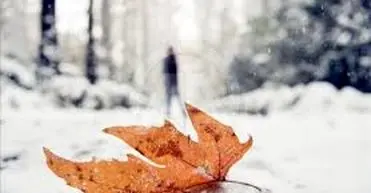 بارش نخستین برف پاییزی در تهران/ ویدئو