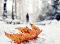 بارش نخستین برف پاییزی در تهران/ ویدئو