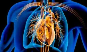 فواید داروی لاغری پرمصرف این روزها برای قلب