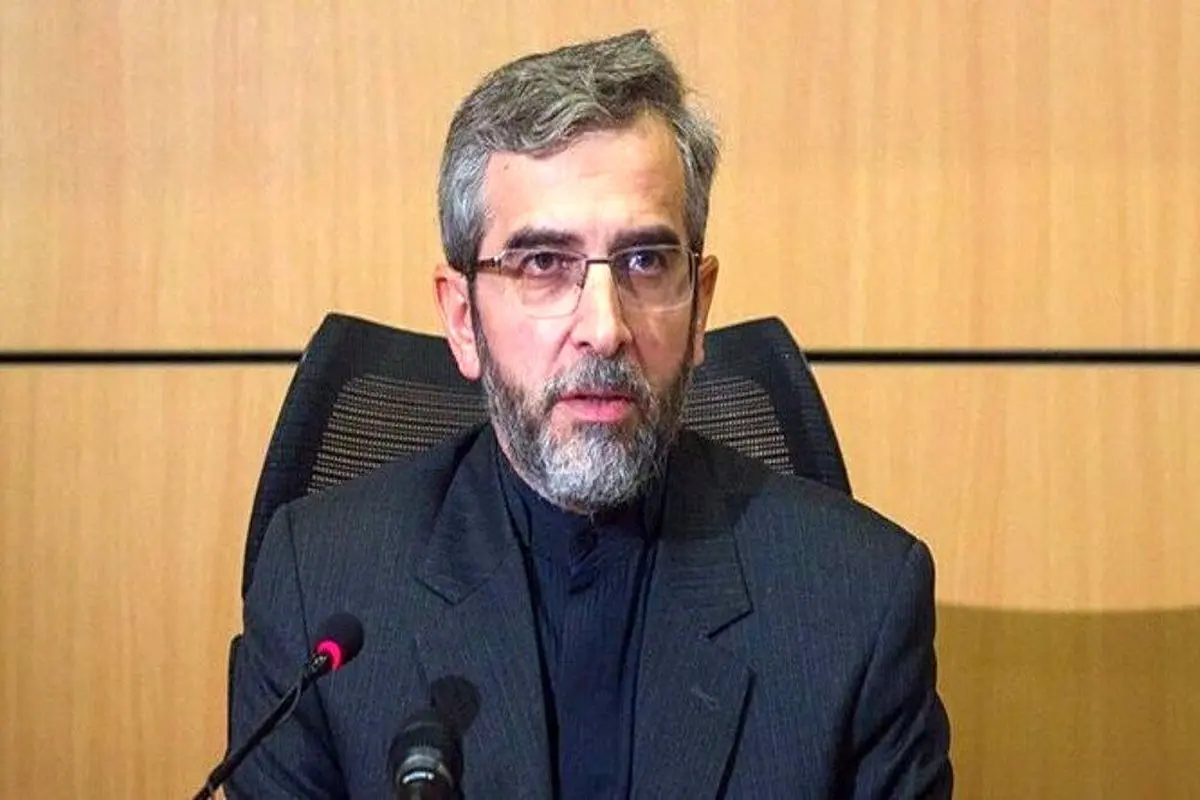 ایران در مسیر مذاکرات رفع تحریم‌ها بر مواضع منطقی خود تاکید دارد/ منطق مذاکراتی ایران پذیرفته شده است

