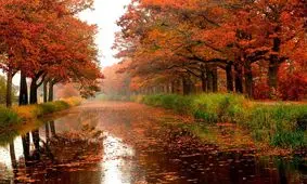 نکاتی که شاید درباره پاییز نمی‌دانید!