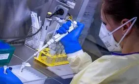 دانشمندان آلمانی: 99 درصد از ویروس کرونا در آزمایشگاه ساخته شده است