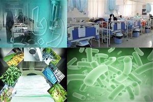 ۱۳ بیمار مشکوک به وبا در استان کردستان شناسایی شد/ این افراد سابقه سفر به اقلیم کردستان عراق دارند