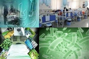 ۱۳ بیمار مشکوک به وبا در استان کردستان شناسایی شد/ این افراد سابقه سفر به اقلیم کردستان عراق دارند