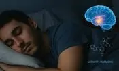 مدار مغزی خواب عمیق کشف شد

