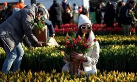 هلند با اندازه نصف یک استان ایران جایی که از دل قحطی، به مرکز آینده‌ غذا تبدیل شد؛ ما چرا نتوانیم؟