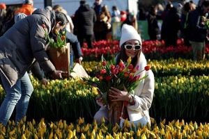 هلند با اندازه نصف یک استان ایران جایی که از دل قحطی، به مرکز آینده غذا تبدیل شد؛ ما چرا نتوانیم؟
