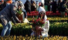 هلند با اندازه نصف یک استان ایران جایی که از دل قحطی، به مرکز آینده‌ غذا تبدیل شد؛ ما چرا نتوانیم؟