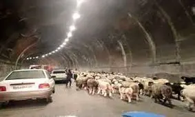 انسداد محور کندوان به دلیل کوچ عشایر