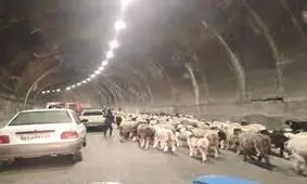 انسداد محور کندوان به دلیل کوچ عشایر