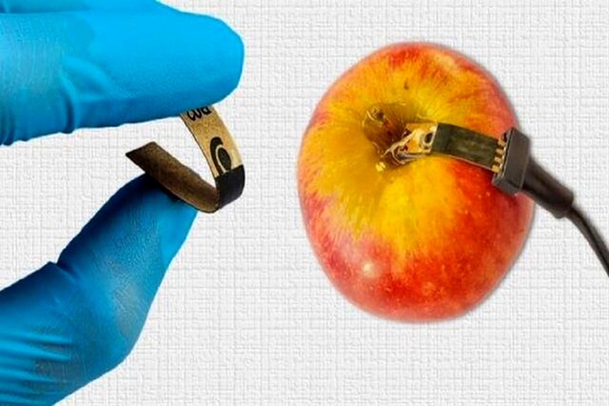 شناسایی ارزان و سریع آفت کشهای موجود در مواد غذایی
