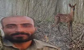صفر تا صد قتل محیط بان نجفی با شلیک جلوی دادگاه