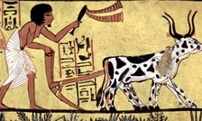 انسان‌ها قبل از عصر کشاورزی، در حدود 12 هزار سال پیش، چه می‌خوردند؟

