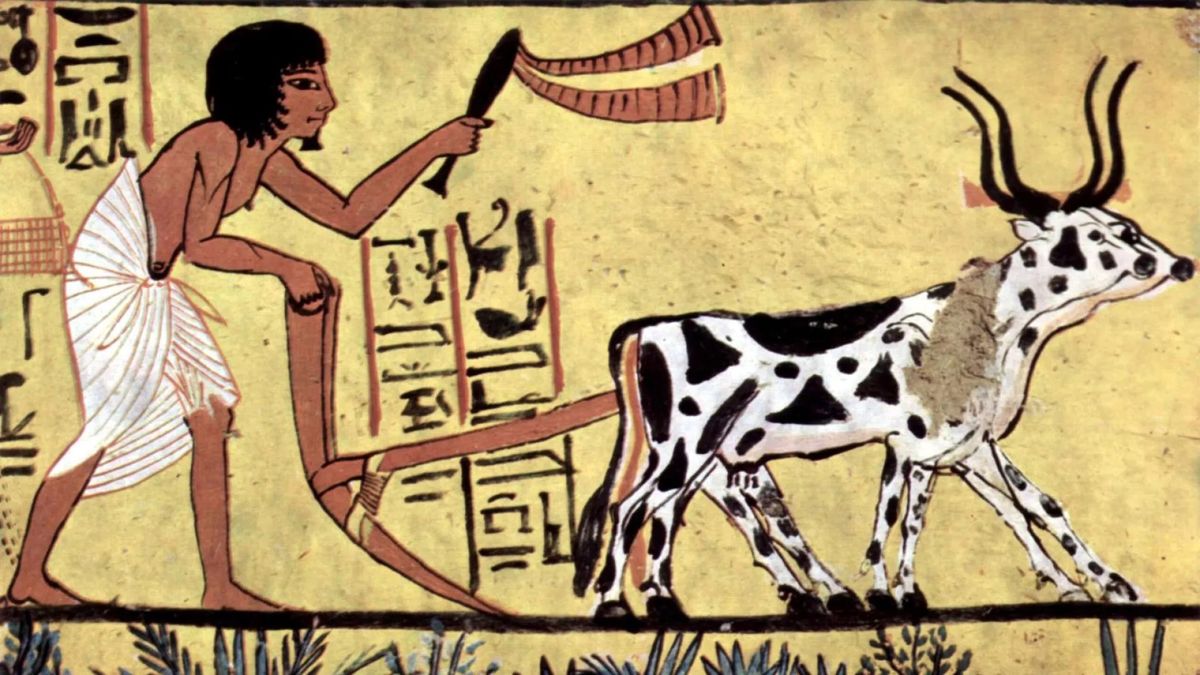 انسان‌ها قبل از عصر کشاورزی، در حدود 12 هزار سال پیش، چه می‌خوردند؟