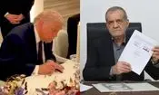 یک خانم سوپرانقلابی: آقای پزشکیان همین که «هنوز» آتشت نزدند، برو خدا را شکر کن!/ ویدئو