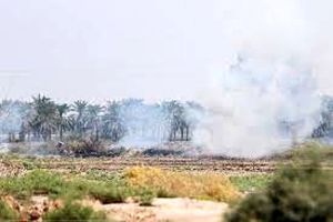 دود آتش‌سوزی در هورالعظیم چهار شهرستان خوزستان را فراگرفت