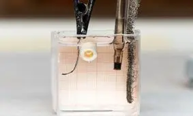 میکروربات هایی که استخوان شکسته را ترمیم می‌کنند