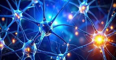 کشف یک زبان پنهان در مغز

