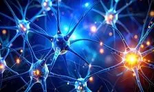 کشف یک زبان پنهان در مغز

