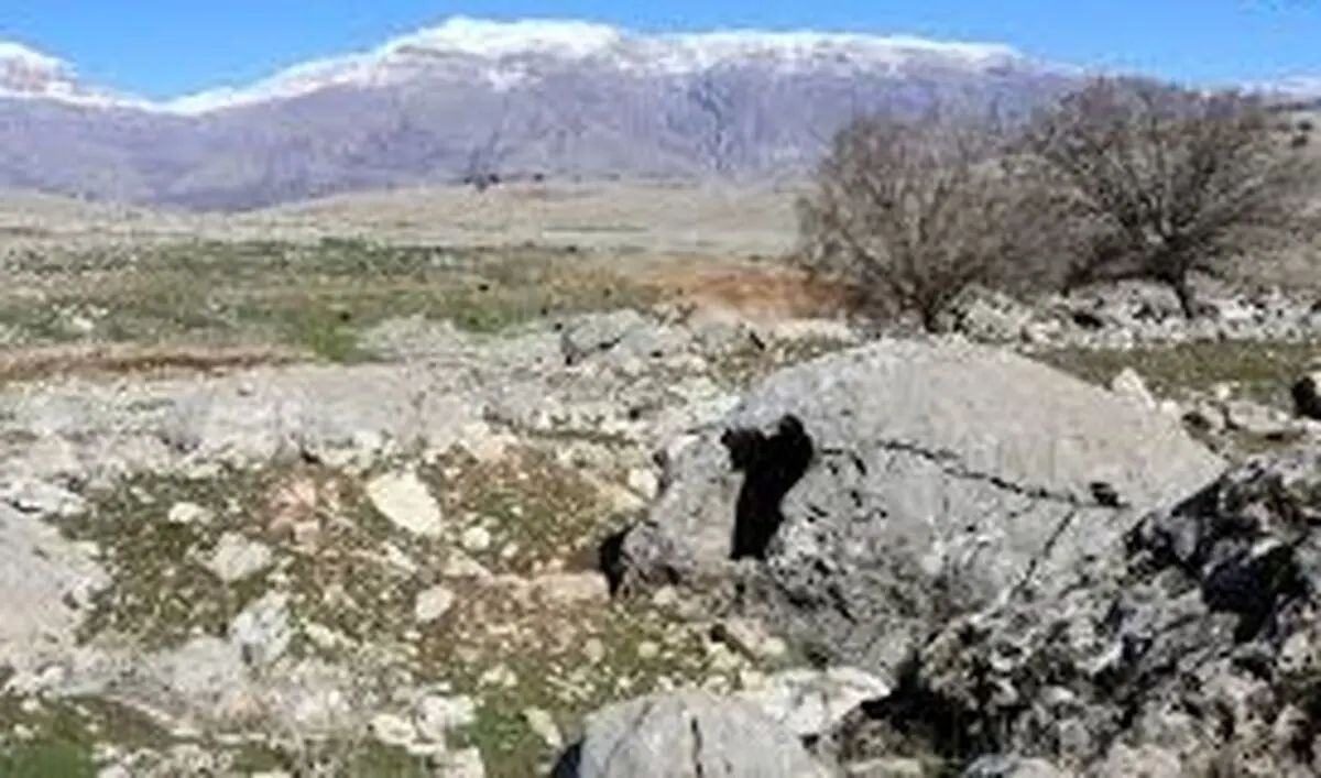 کتیبۀ باستانی «نبرد پهلوان و مار» در کوه‌های خوزستان کشف شد 