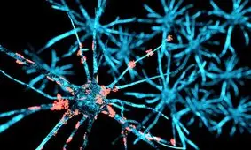 درمان جدیدی برای دوباره راه رفتن بیماران پارکینسونی

