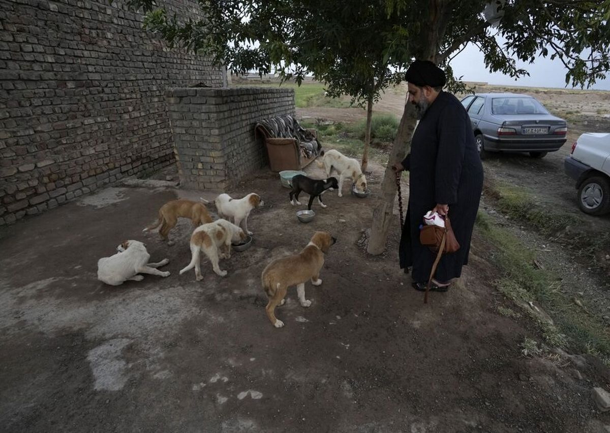  روحانی ای که سگ های خیابانی را نجات می دهد/ عکس