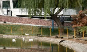 آسمان صاف کشور طی پنج روز آینده