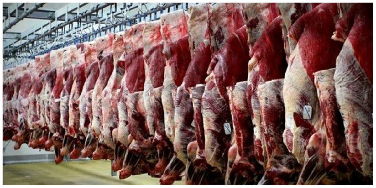 قیمت هر کیلو گوشت گوسفندی چند؟