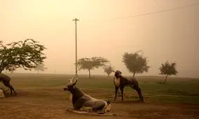 میزان گرد و غبار در شوش به ۲۷ برابر حدمجاز رسید