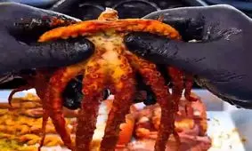 منوی لاکچری با گوشت غیر حلال!