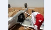 سقوط هواپیمای سم پاش در تاکستان/ ویدئو 