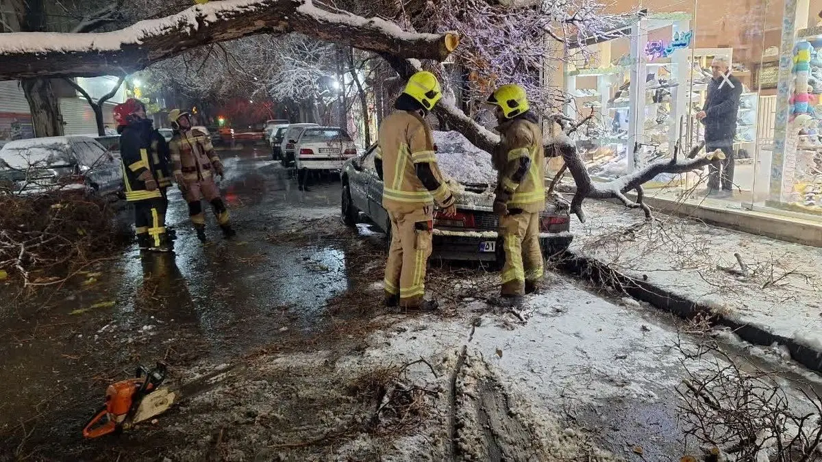 سقوط درخت تنومند بر روی دو خودرو در خیابان مطهری شمالی مشهد