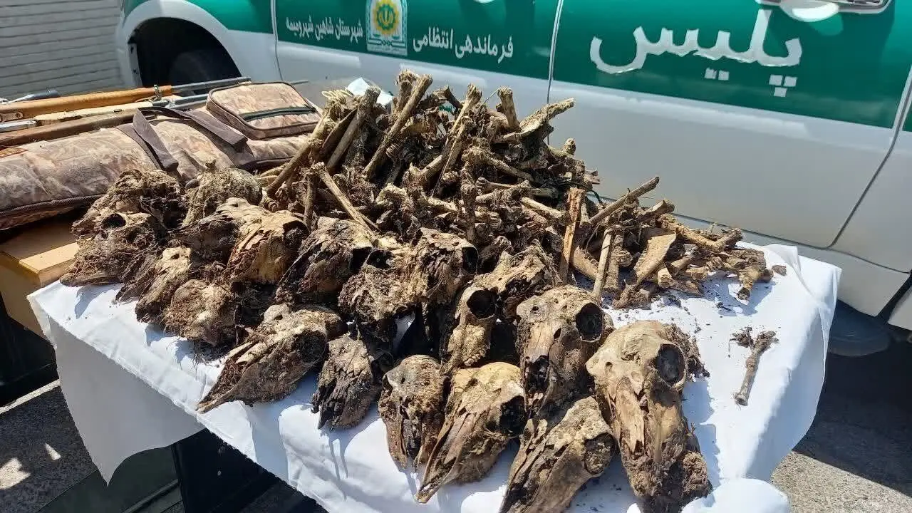چاه پر از جمجمه در حاشیه «موته»/ متخلفان نقره داغ می‌ شوند