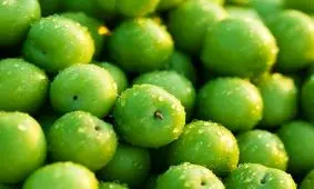 نوبرانه ای با قیمت نجومی؛ واردات قاچاق گوجه سبز