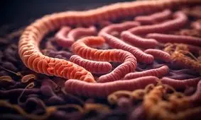 این ۲ ماده غذایی انگل روده را نابود می‌کنند

