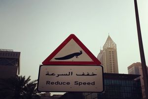 عجیب ترین تابلو در خیابان های دبی!/تصاویر
