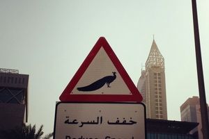 عجیب ترین تابلو در خیابان های دبی!/تصاویر