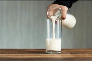 شیری که مغز شما را سریع‌ تر پیر می‌کند