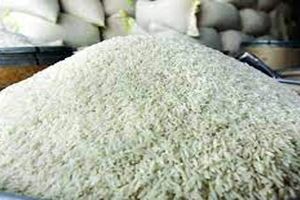 برنج با طعم تریاک در قائم شهر