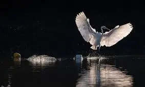 آیا شاخص های زیست محیطی ایران سقوط کرده است؟