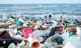 این قارچ دریایی، پلاستیک را تجزیه می‌کند