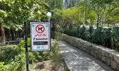 سگ گردانی در بوستان های این استان ممنوع شد