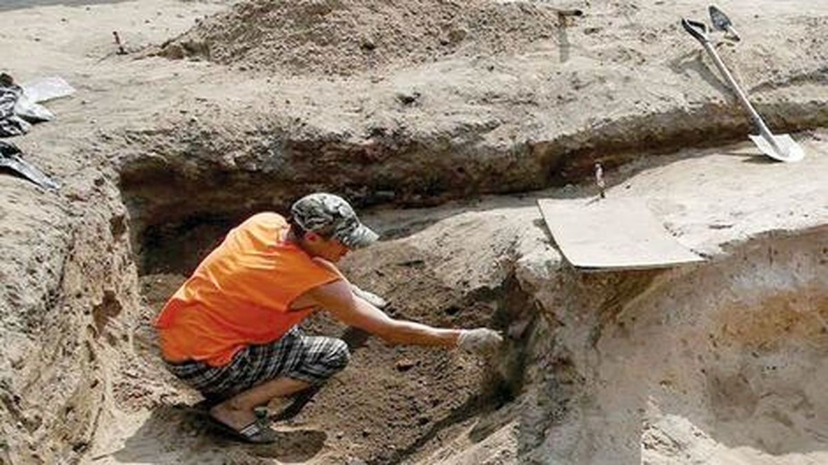 کشف جمجمه یک شتر ۲.۵ میلیون ساله در تاجیکستان