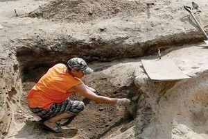 کشف جمجمه یک شتر ۲.۵ میلیون‌ ساله در تاجیکستان


