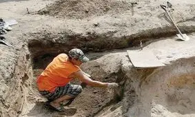 کشف جمجمه یک شتر ۲.۵ میلیون‌ ساله در تاجیکستان

