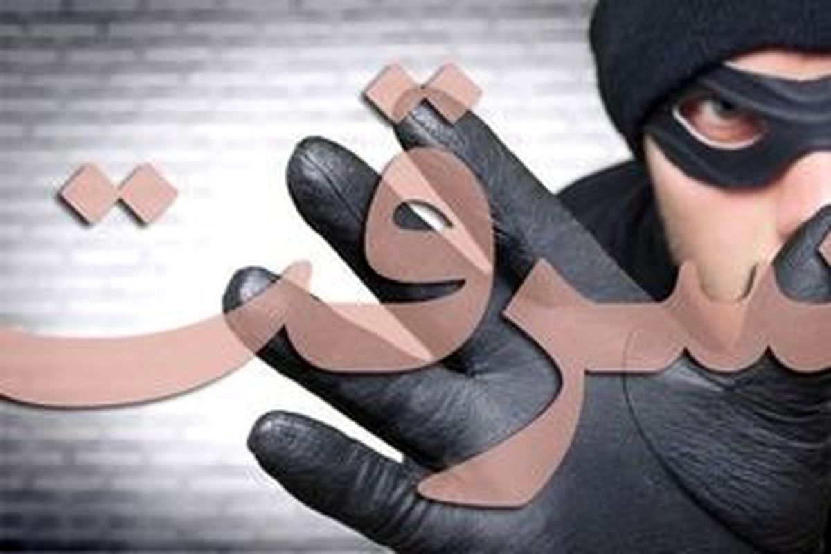 سرقت عجیب از یک امامزاده در اصفهان/ ویدئو